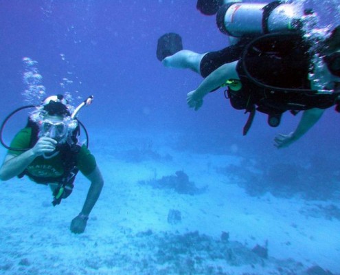 scuba diving antigua