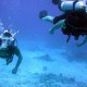 scuba diving antigua