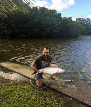 Antigua fishing